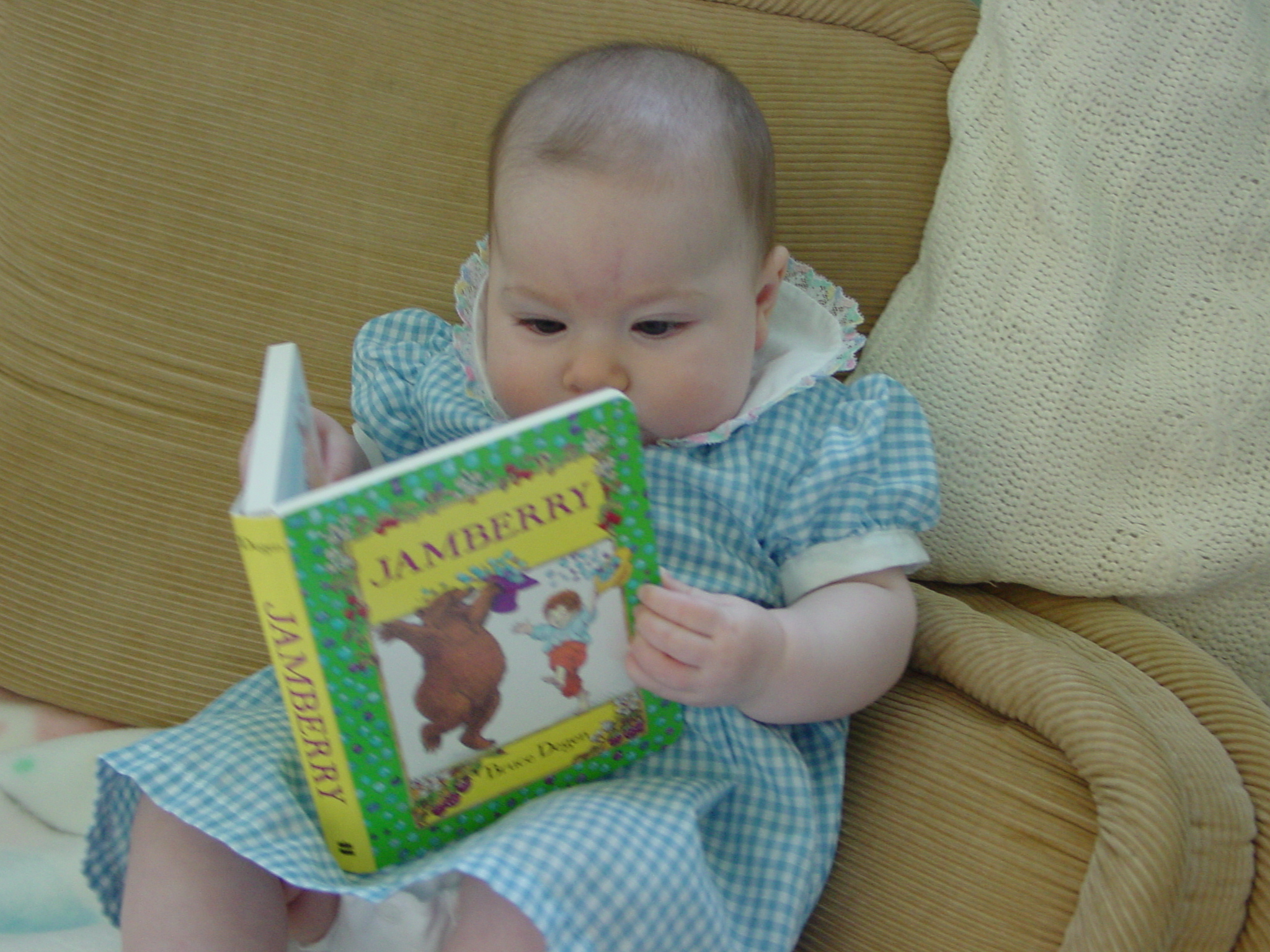 Baby reading