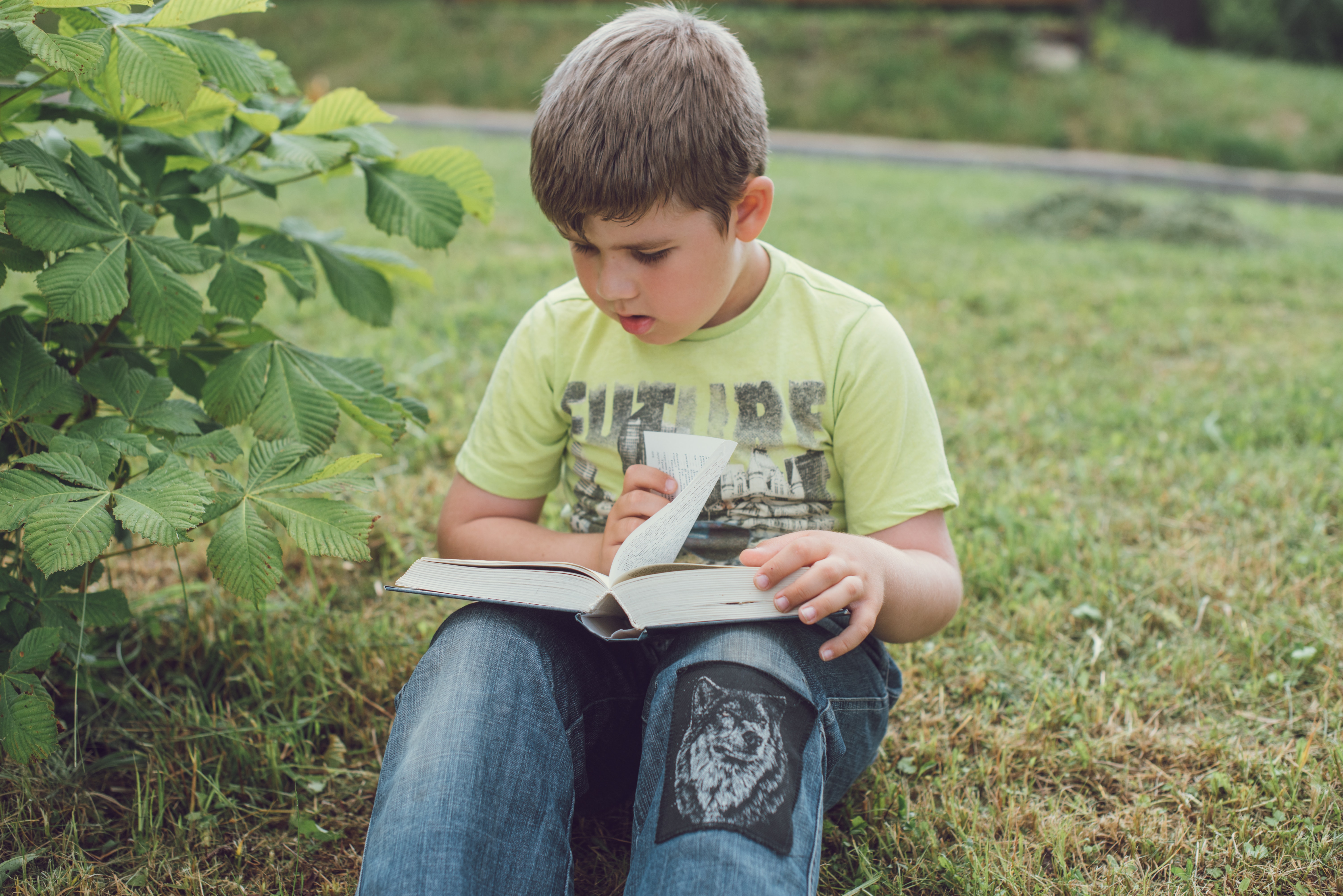 Boy Reading A Book